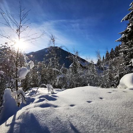 Chalet Caprea บาด ไคลน์เคิร์ชไฮม์ ภายนอก รูปภาพ